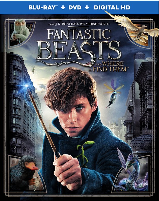 Fantastic Beasts and Where to Find Them - Movie Review