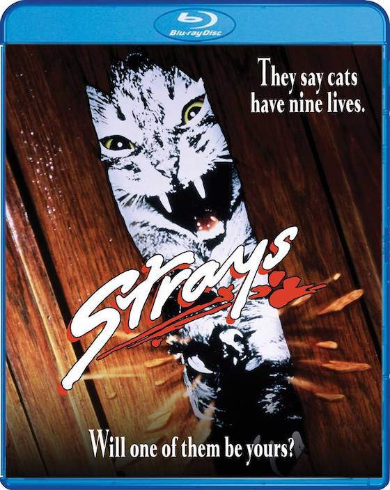 Strays (1991) Blu-ray