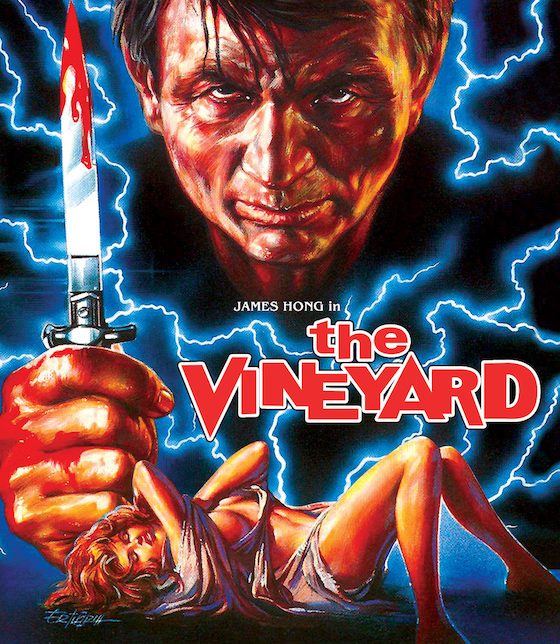 The Vineyard (1989)