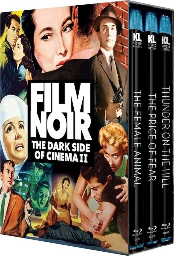 Film Noir: The Dark Side of Cinema, Volume II: Thunder On The Hill (1951)