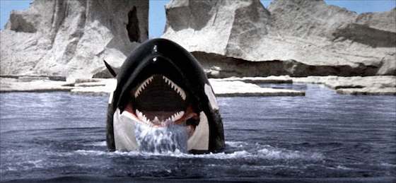 Orca: The Killer Whale (1977)