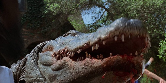 Alligator 4K Ultra HD Blu-Ray