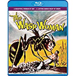 wasp woman