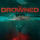 The Drowned (2025) - Review