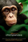 Chimpanzee - Movie Review
