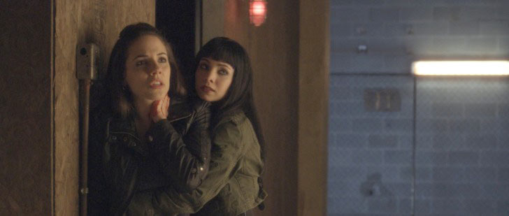 Lost Girl: Season One - Blu-ray Review