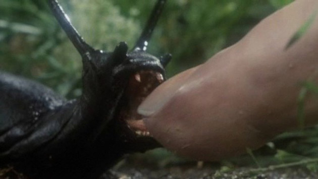 Slugs (1988) - Blu-ray Review