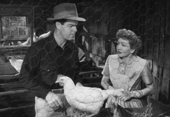 The Egg and I (1947) - Blu-ray Review
