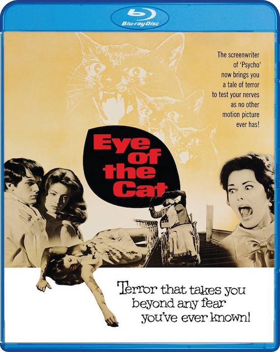 Eye of the Cat (1969) - Blu-ray Review