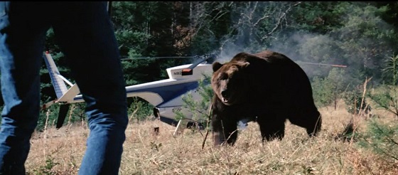 Grizzly (1976) - Blu-ray Review