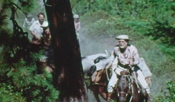 Sasquatch: The Legend of Bigfoot - Blu-ray Review