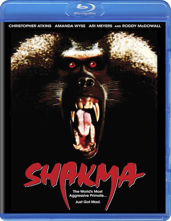 Shakma (1990) - Blu-ray Review