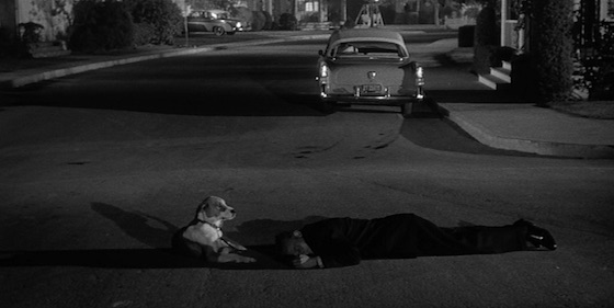 Film Noir: The Dark Side of Cinema, Volume II: The Price of Fear (1956)