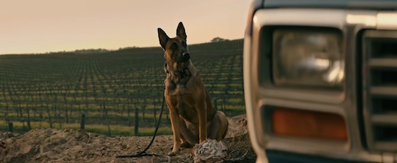 Dog - Movie Trailer