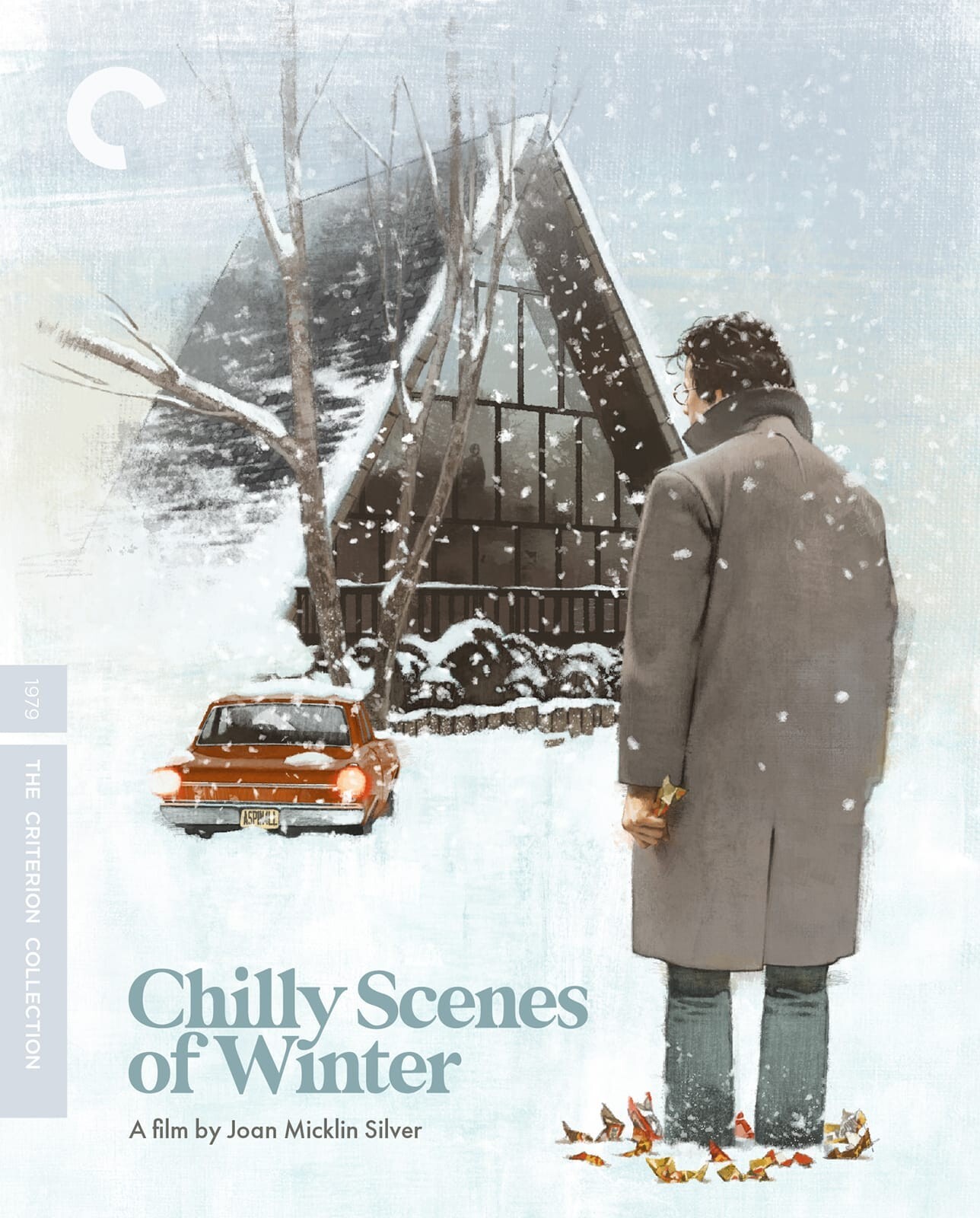 Chilly Scnes of Winter (1979)