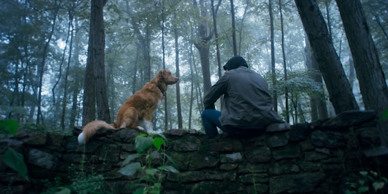 Good Boy (2025)