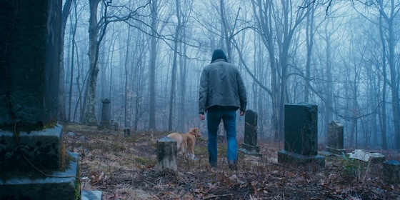 Good Boy (2025)