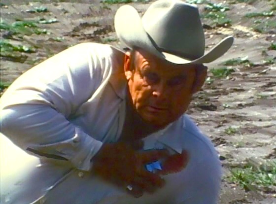 True Crime Triple Ripper