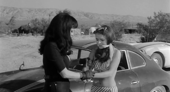 aster, Pussycat! Kill! Kill! (1965)