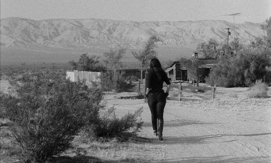 aster, Pussycat! Kill! Kill! (1965)