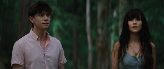 The Hermit (2026) The Hermit (2026)