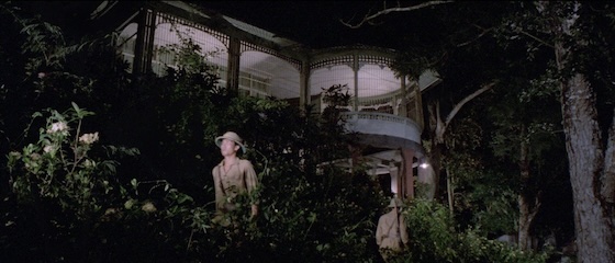 Jungle Raiders (1985)