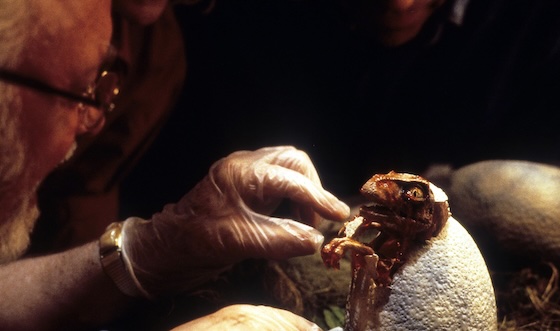 Jurassic Park (1993)