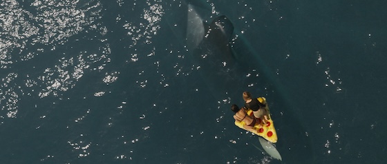 Killer Whale (2026) Killer Whale (2026)