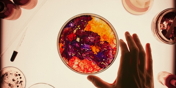 Phenomena (2026) Phenomena (2026)