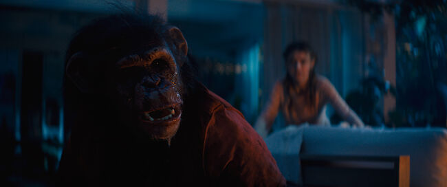 Primate (2026)