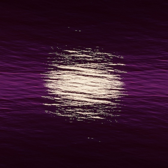Indigo’s Dreams