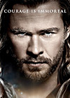 Thor International one sheet movie posters