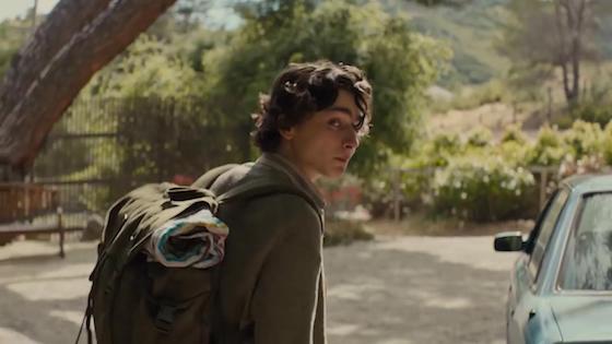 beautiful Boy - Movie Trailer