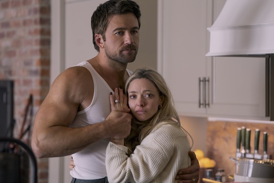 The Housemaid The Housemaid